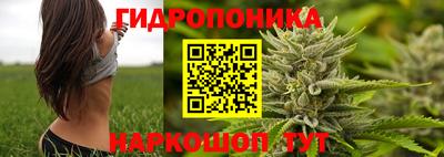 тгк Краснодар