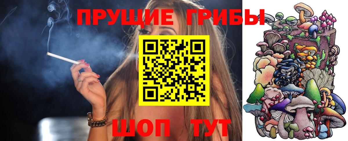 Еманжелинск  Псилоцибиновые грибы Psilocybe  Вход с VPN  Псилоцибиновые грибы Psilocybe 