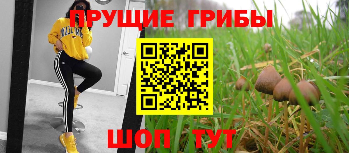 Псилоцибиновые грибы GOLDEN TEACHER Еманжелинск